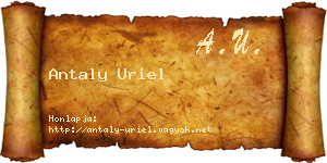 Antaly Uriel névjegykártya